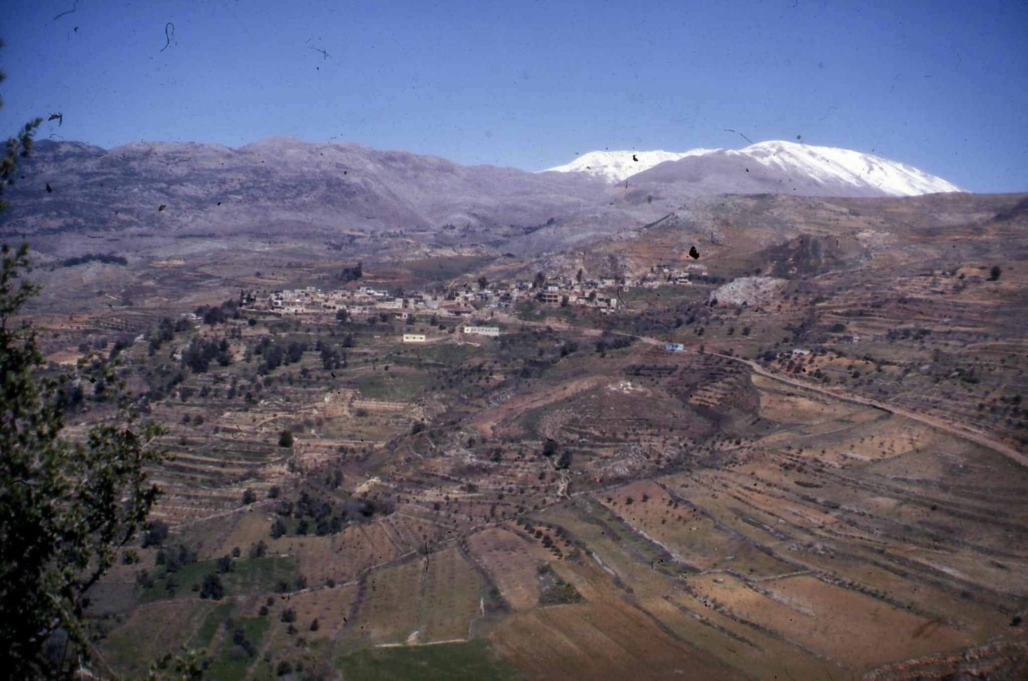 הכפר הדרוזי עין קיניא במורדות החרמון, צלמת: הייזל גרינוולד (NHG\564635)
